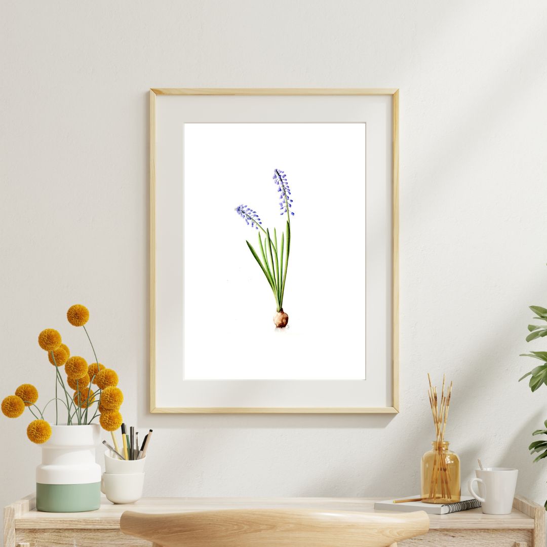 Fine Art Prints