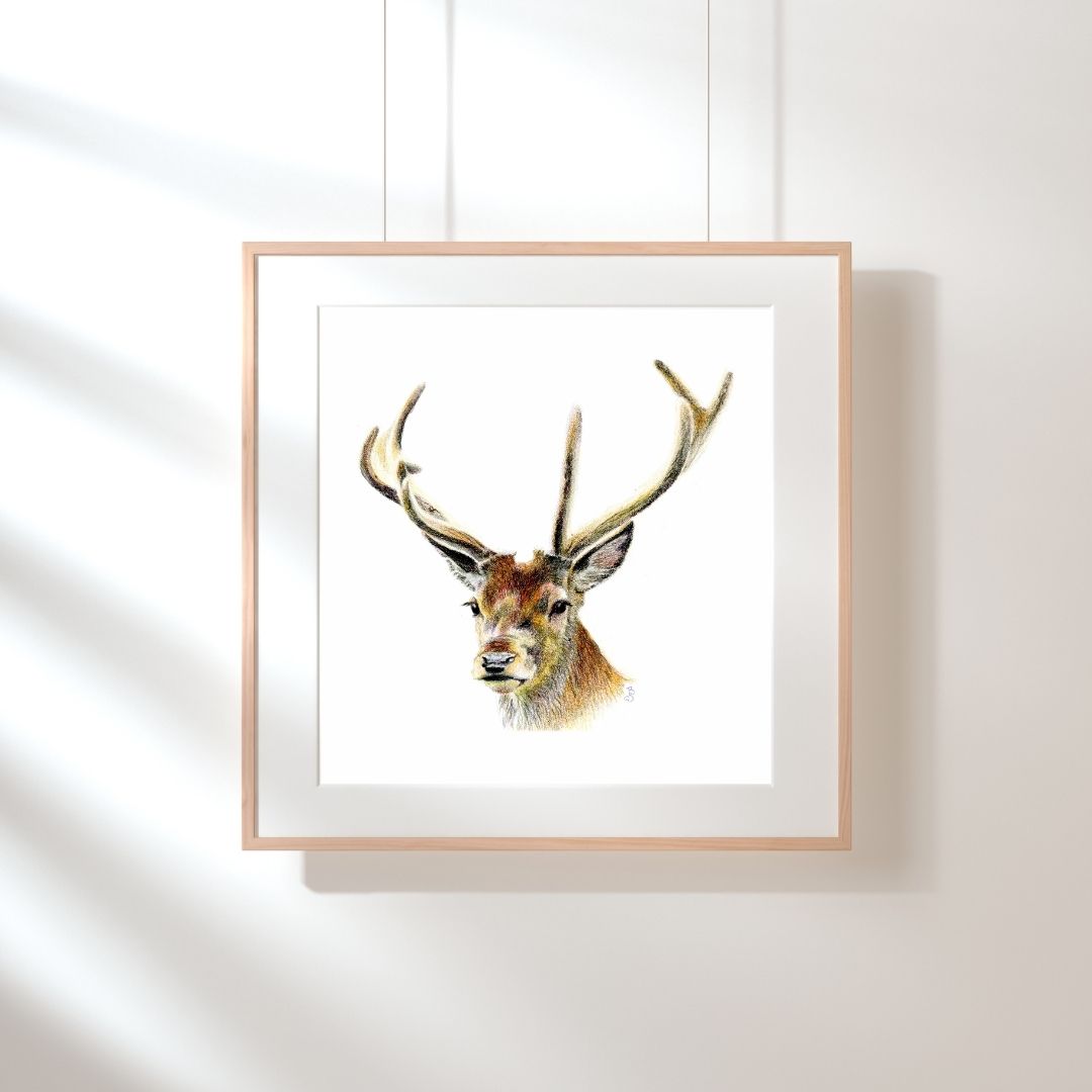 Art Prints