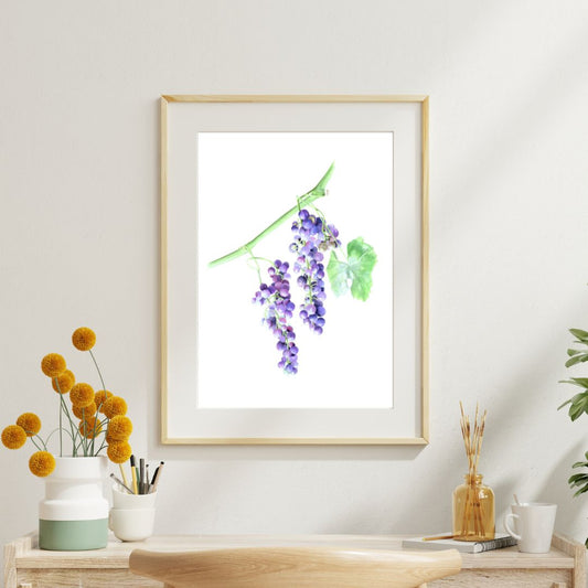 Fine Art Print Poster: Blauwe Druiven