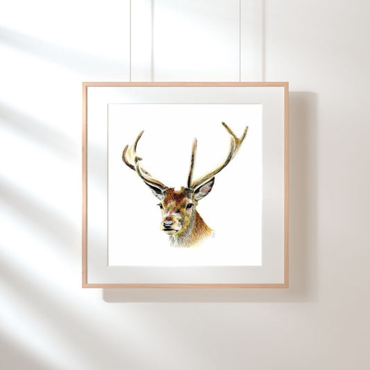Art Print: Damhert