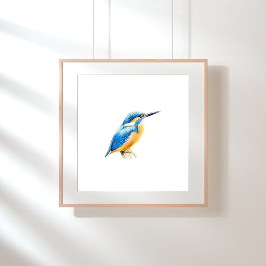 Art Print: IJsvogel