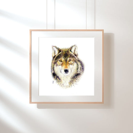 Art Print: Wolf